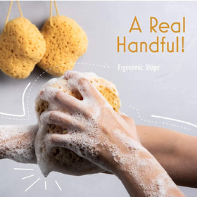 myHomeBody Bath Sponge large size comparison