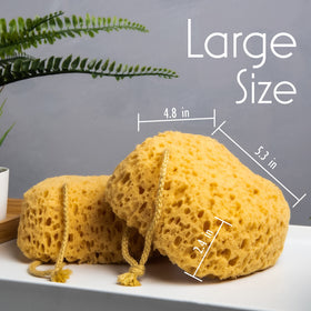 myHomeBody Bath Sponge packaging with two sponges
