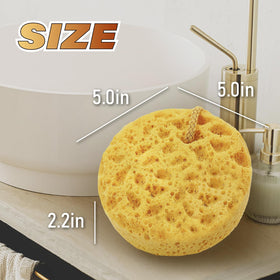 myHomeBody Bath Sponge three pack display