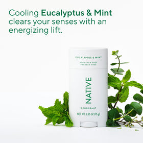 Native Deodorant Eucalyptus & Mint with eucalyptus leaves background