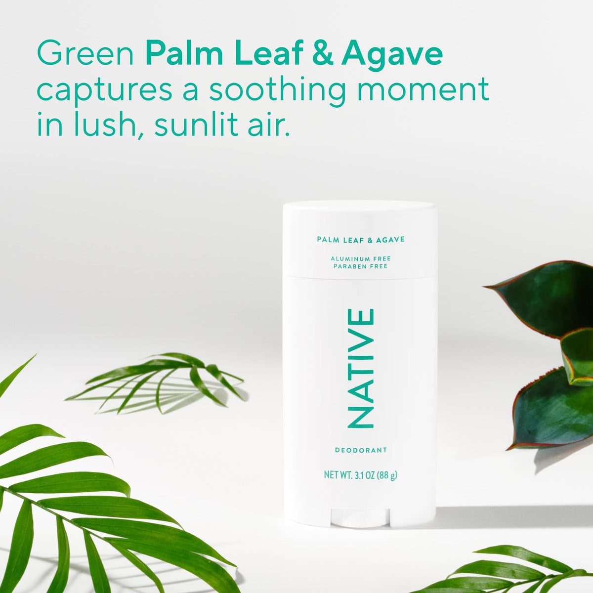 Native deodorant packaging with Palm Leaf & Agave scent