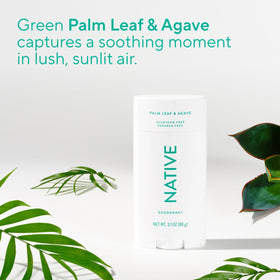 Native deodorant packaging with Palm Leaf & Agave scent