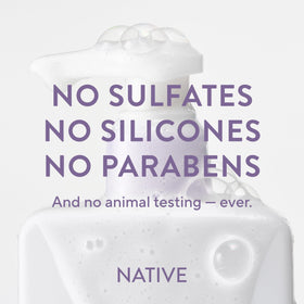 Native Scalp Detox Shampoo Lavender Cloud & Vanilla in hand