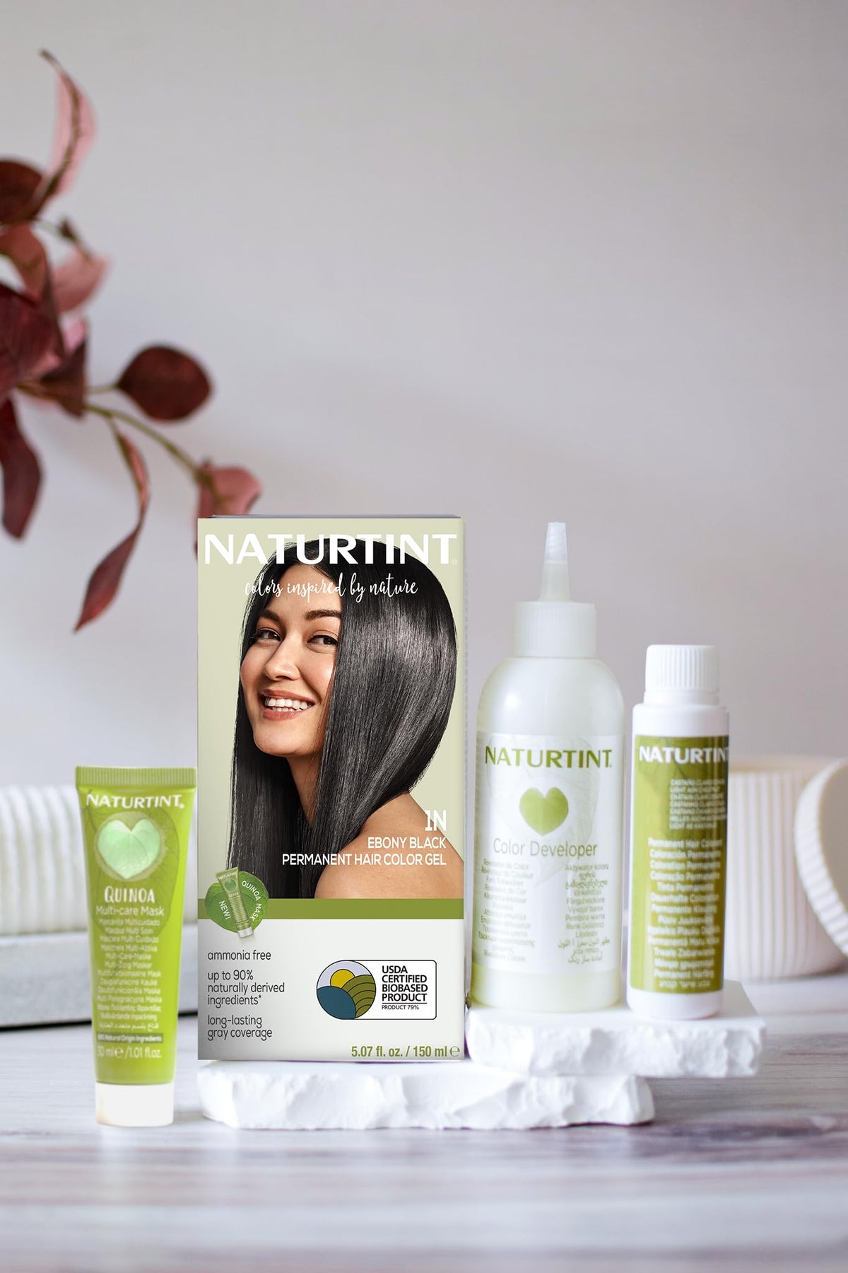 Naturtint 1N Ebony Black application instructions on packaging