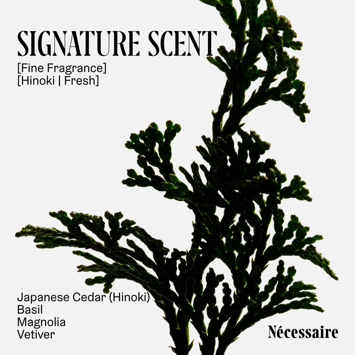 Nécessaire body wash in a shower setting