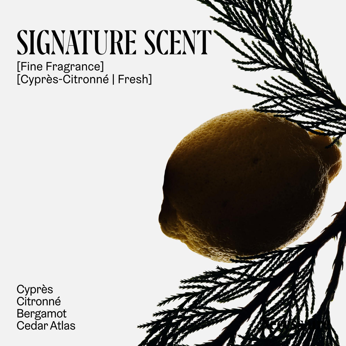 Nécessaire Deodorant Cyprès-Citronné ingredients list