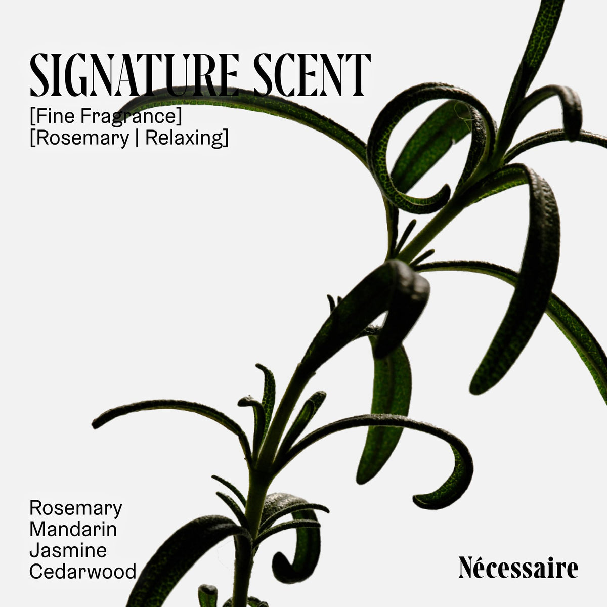 Nécessaire Rosemary Shampoo texture close-up