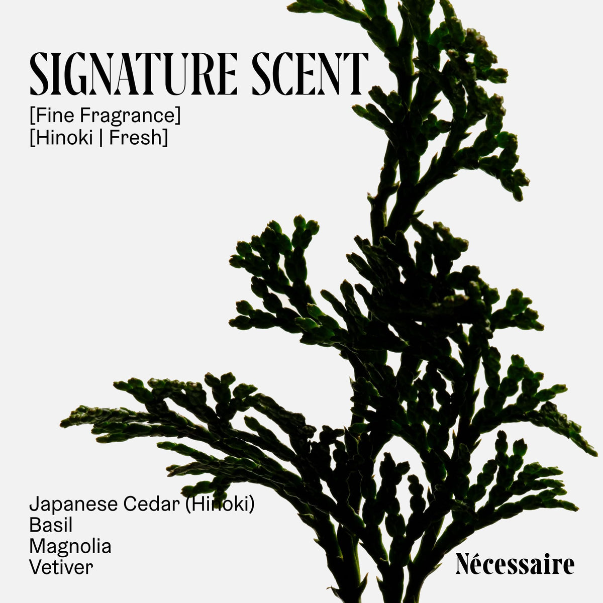 Nécessaire The Body Lotion Hinoki texture on hand