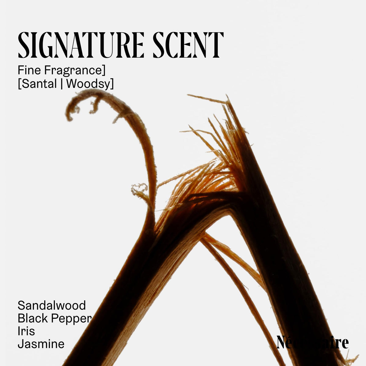 Nécessaire The Body Lotion Santal texture on hand