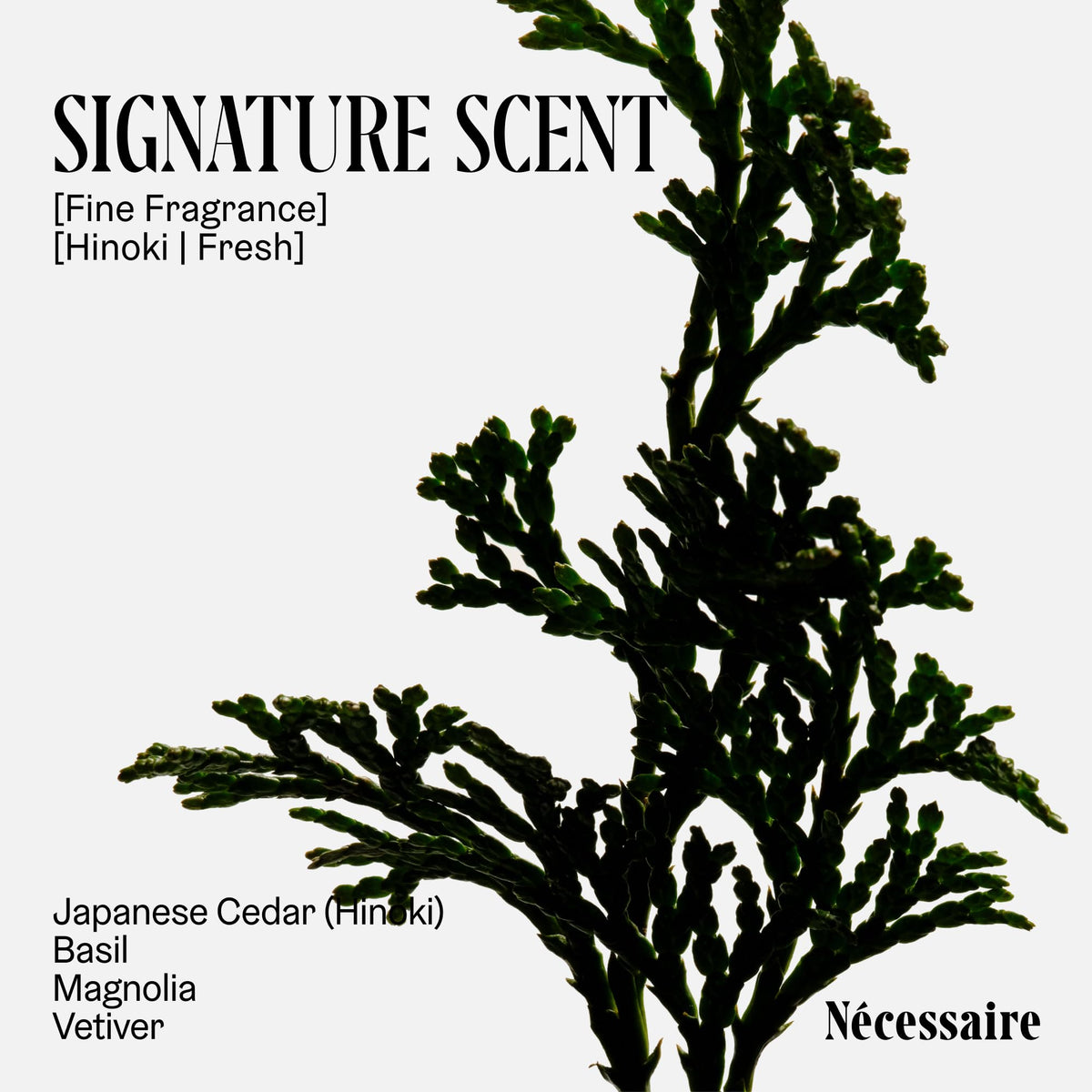 Nécessaire The Deodorant Hinoki texture close-up