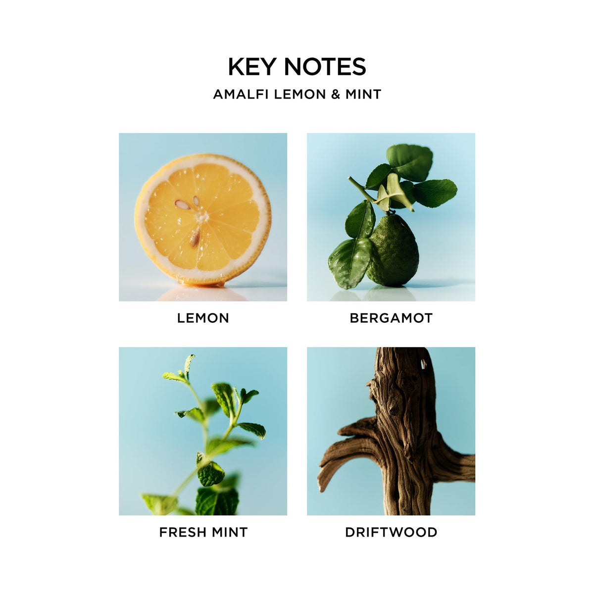 NEST New York Liquid Soap Amalfi Lemon & Mint packaging details
