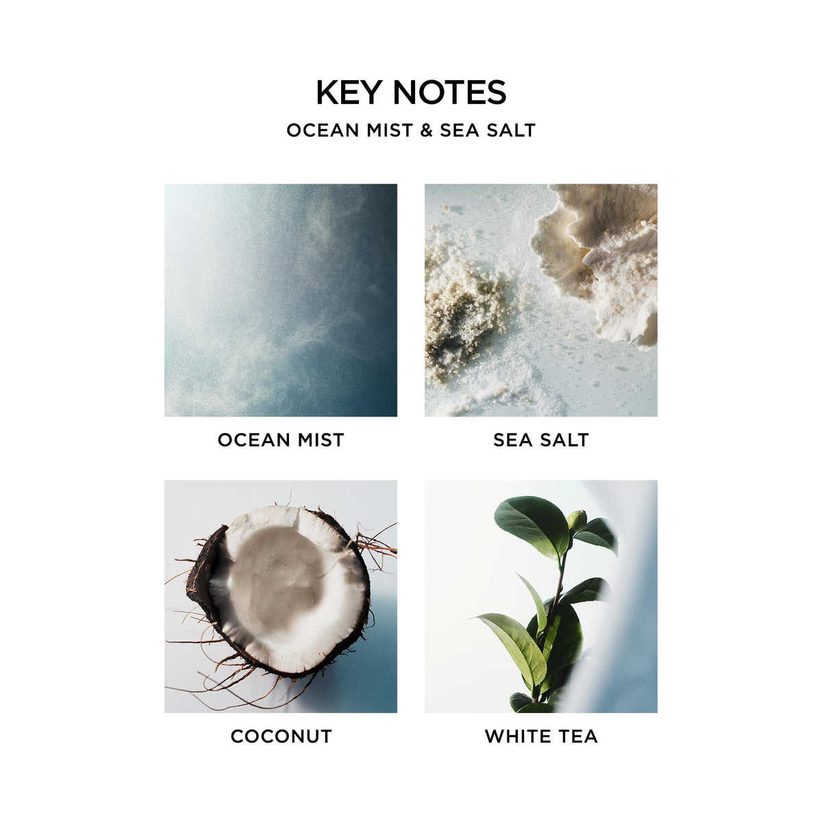 NEST New York Liquid Soap Ocean Mist & Sea Salt on a bathroom counter