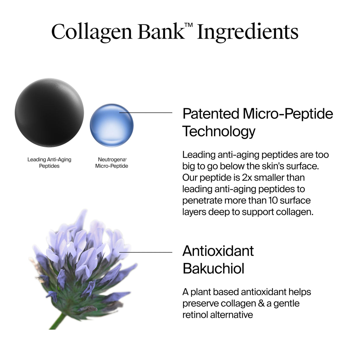 Neutrogena Collagen Bank Face Moisturizer side view with packaging