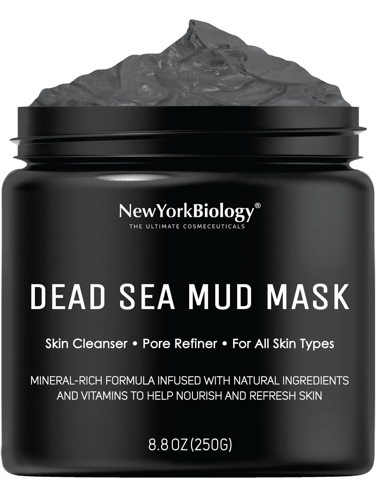 NEW YORK BIOLOGY Dead Sea Mud Mask front view 8.8 oz