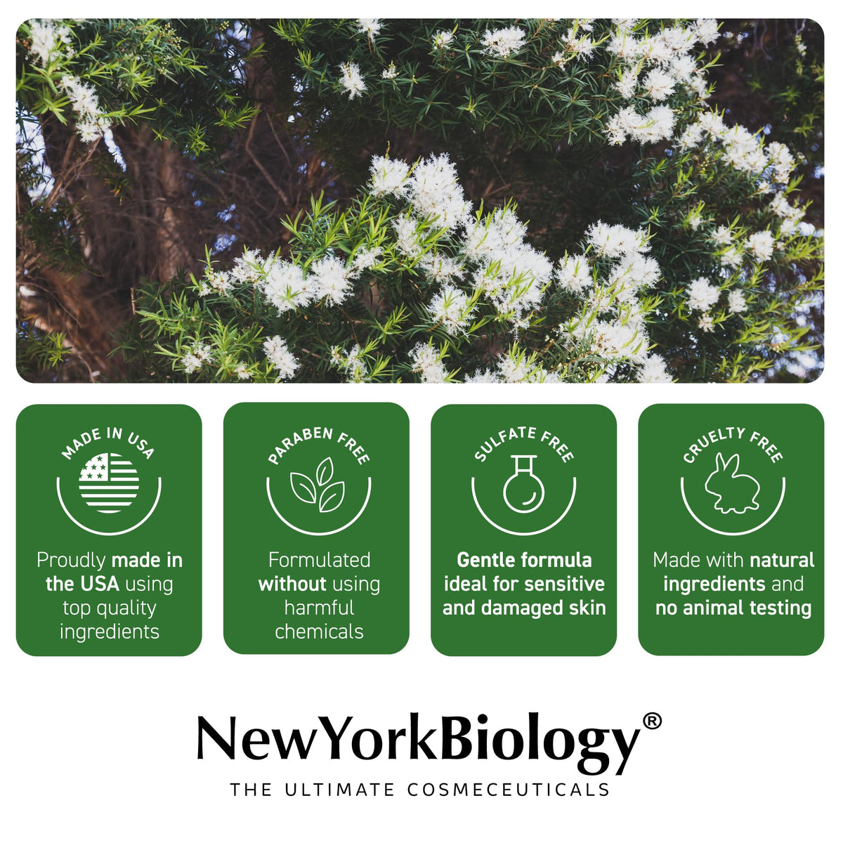 NEW YORK BIOLOGY Tea Tree Body Wash lifestyle scene in bathroom setting