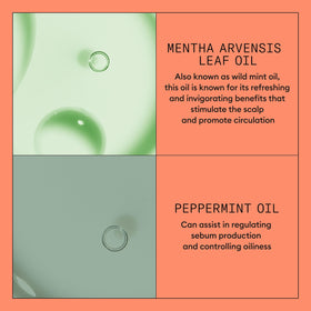 Nioxin conditioner in bathroom setting