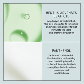NIOXIN Density Defend Mousse packaging details