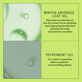 NIOXIN Scalp Therapy Conditioner ingredients list