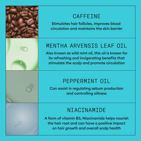 NIOXIN System Kit 3 ingredients list