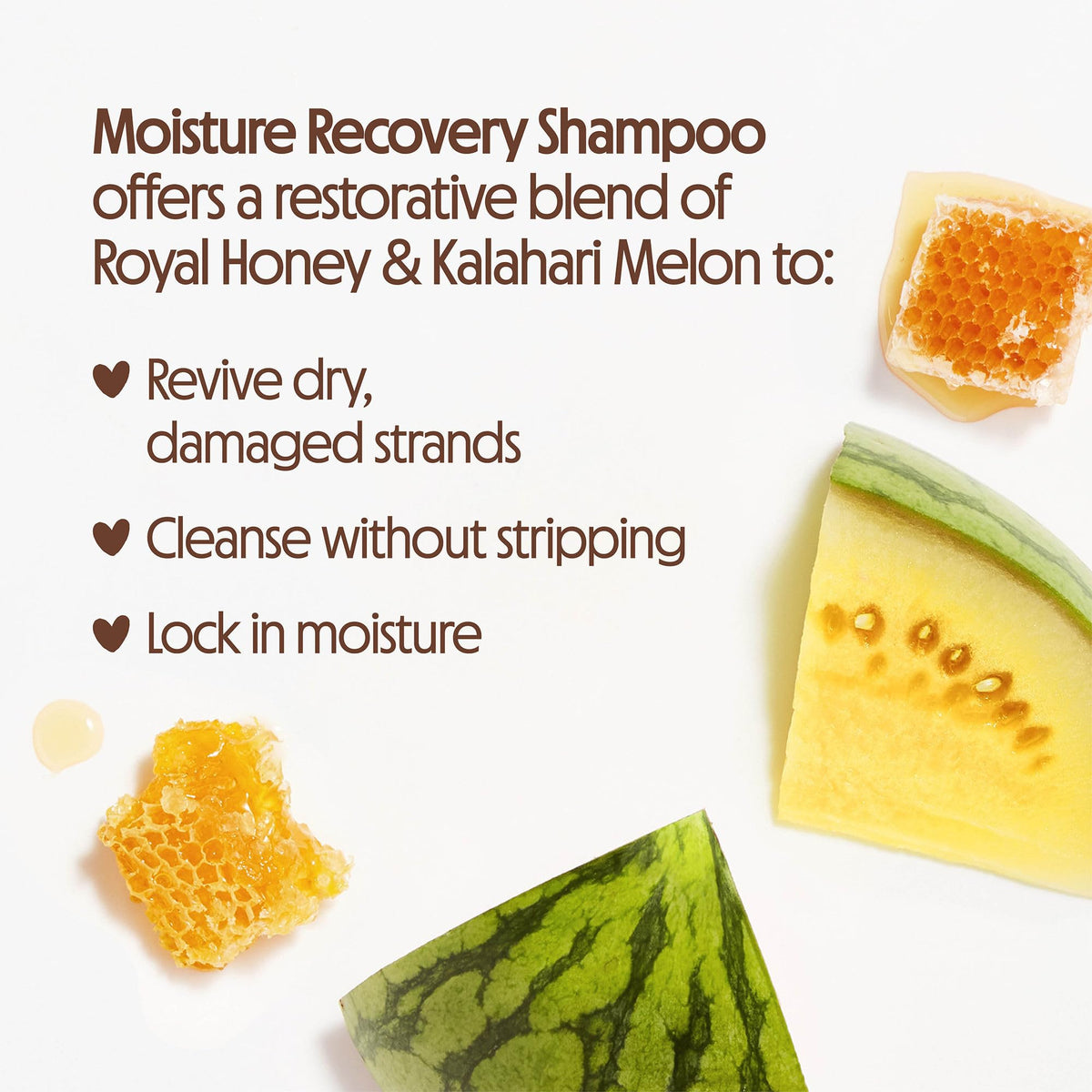 Not Your Mother's Protect & Nourish Shampoo and Conditioner set packaging