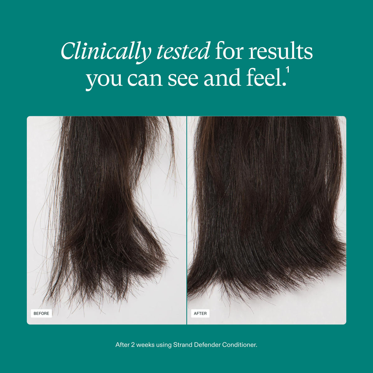 Nutrafol Conditioner application on hair