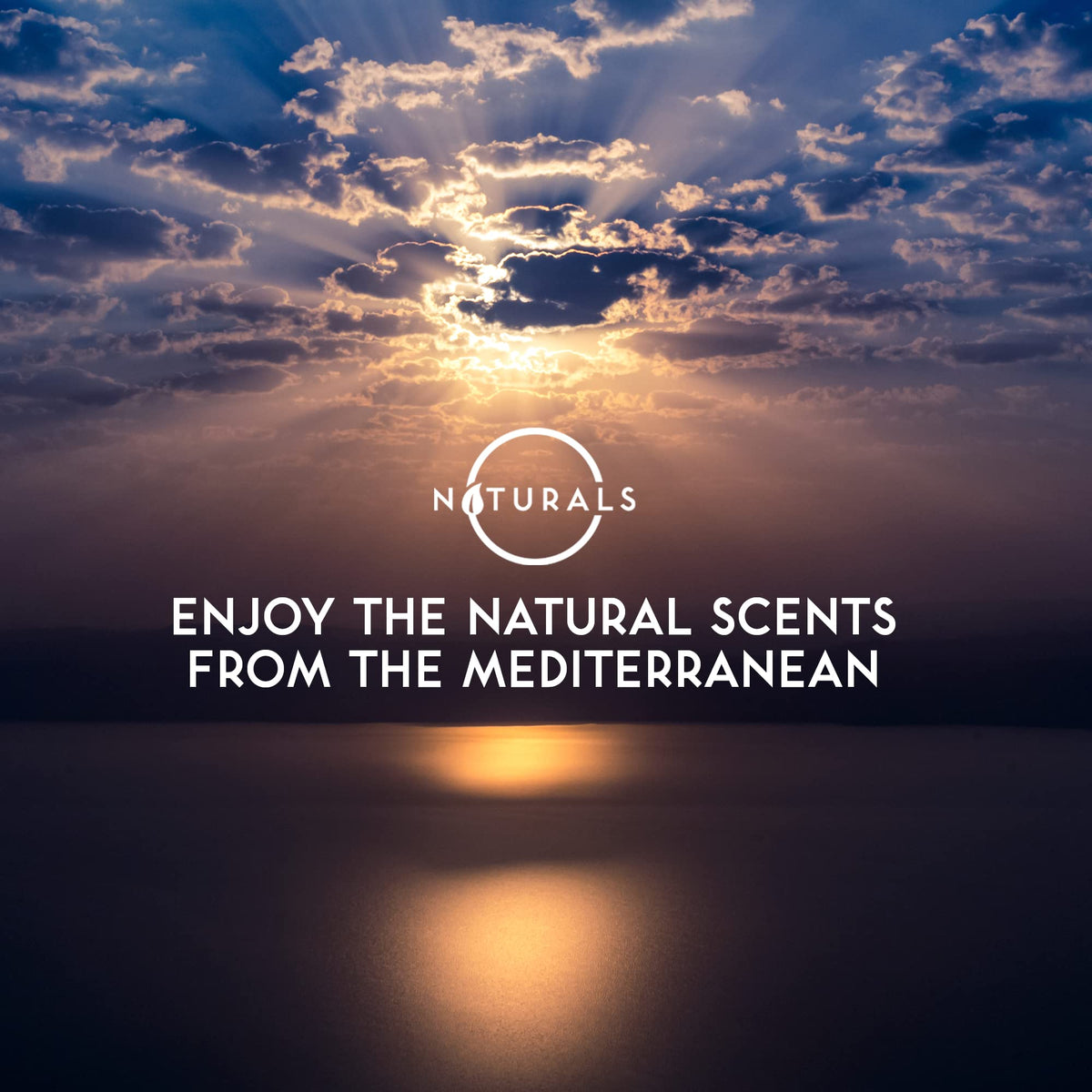 O NATURALS soap bars showcasing natural ingredients