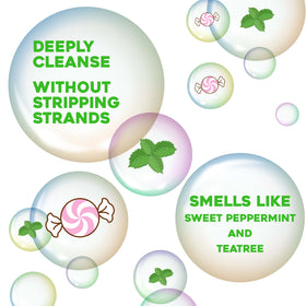 OGX Extra Strength Refreshing Scalp + Teatree Mint Conditioner with fresh mint leaves