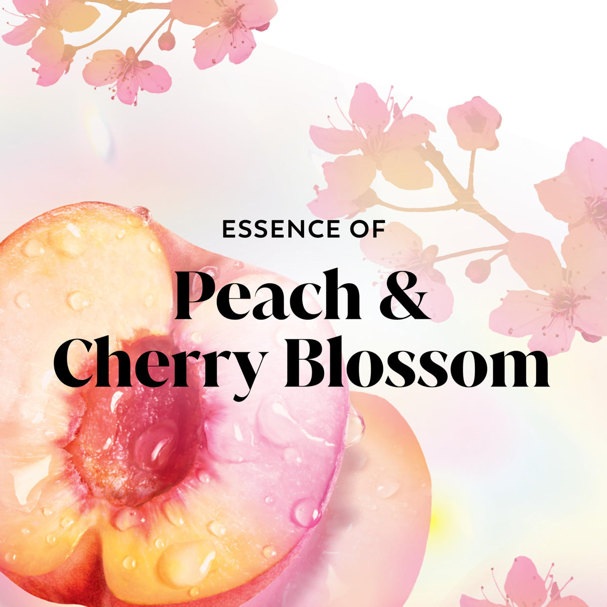 Olay Body Wash with a focus on its creamy texture