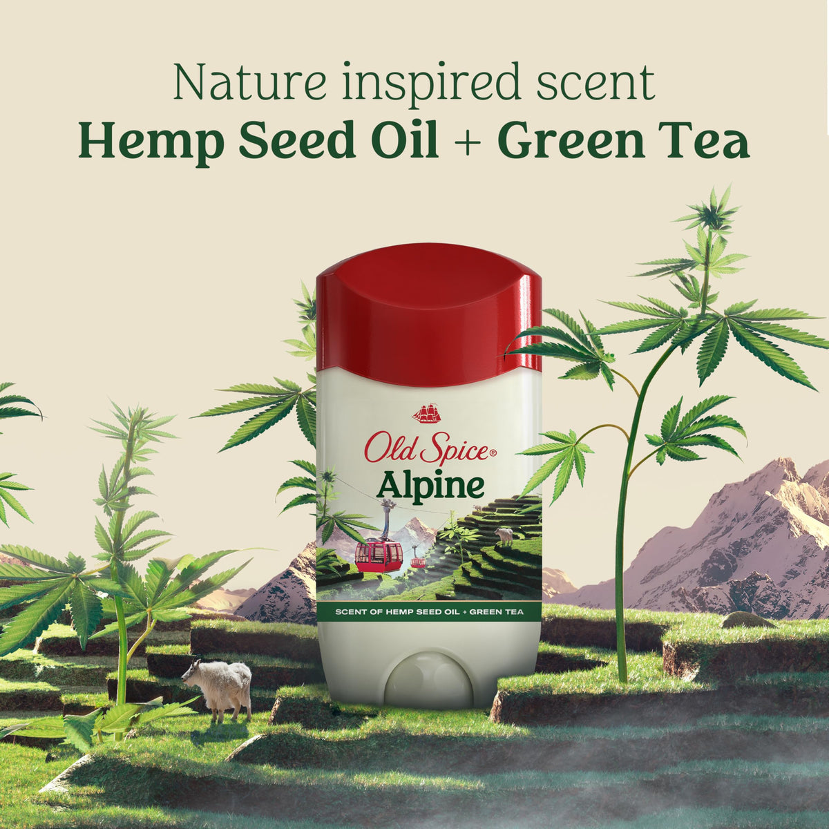 Old Spice Antiperspirant Alpine on bathroom shelf