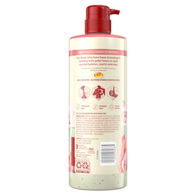 Old Spice GentleMan's Body Wash with fresh scent description