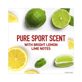 Old Spice High Endurance Deodorant Stick Pure Sport back view