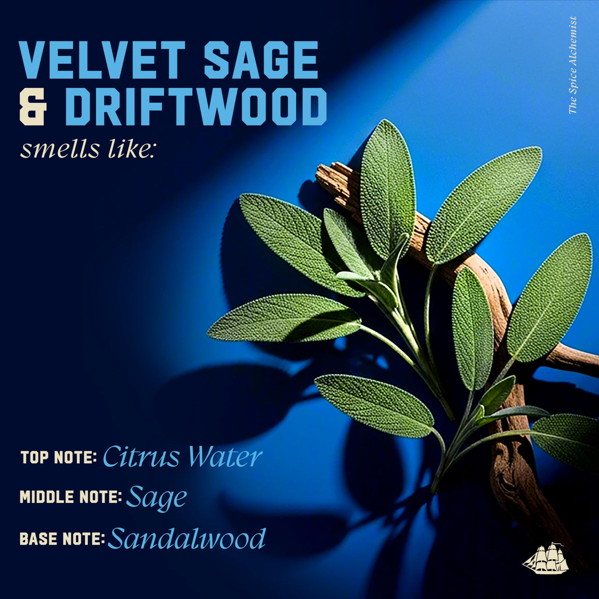 Old Spice Velvet Sage & Driftwood Shampoo pouring into hand