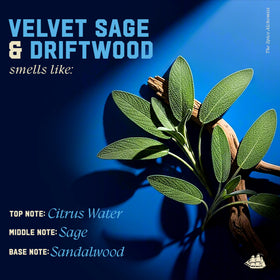 Old Spice Velvet Sage & Driftwood Shampoo pouring into hand