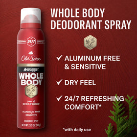 Old Spice Whole Body Deodorant Swagger 141g back view