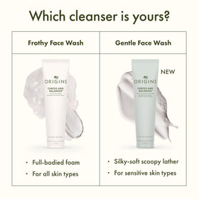 Origins Checks and Balances Frothy Face Wash 5 Fl Oz lifestyle scene