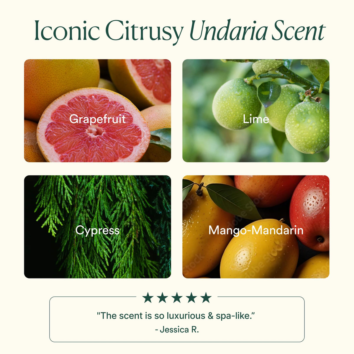 OSEA Undaria Algae™ Body Butter with Undaria seaweed
