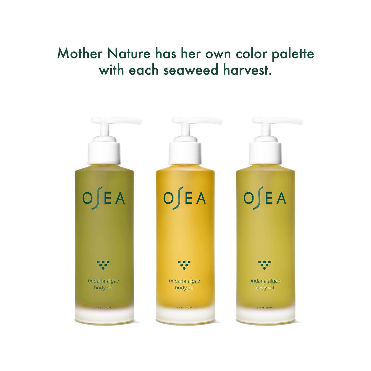 OSEA Undaria Algae Body Oil on a wooden surface
