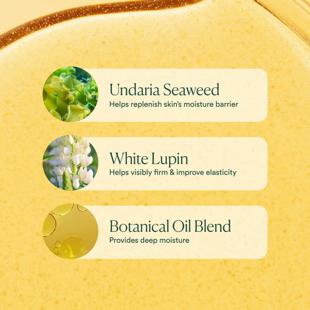 OSEA Undaria Algae Body Oil with seaweed ingredients