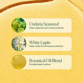 OSEA Undaria Algae Body Oil with seaweed ingredients