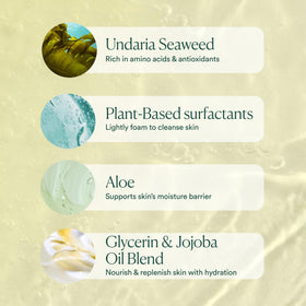OSEA Undaria Algae™ Body Wash ingredients list