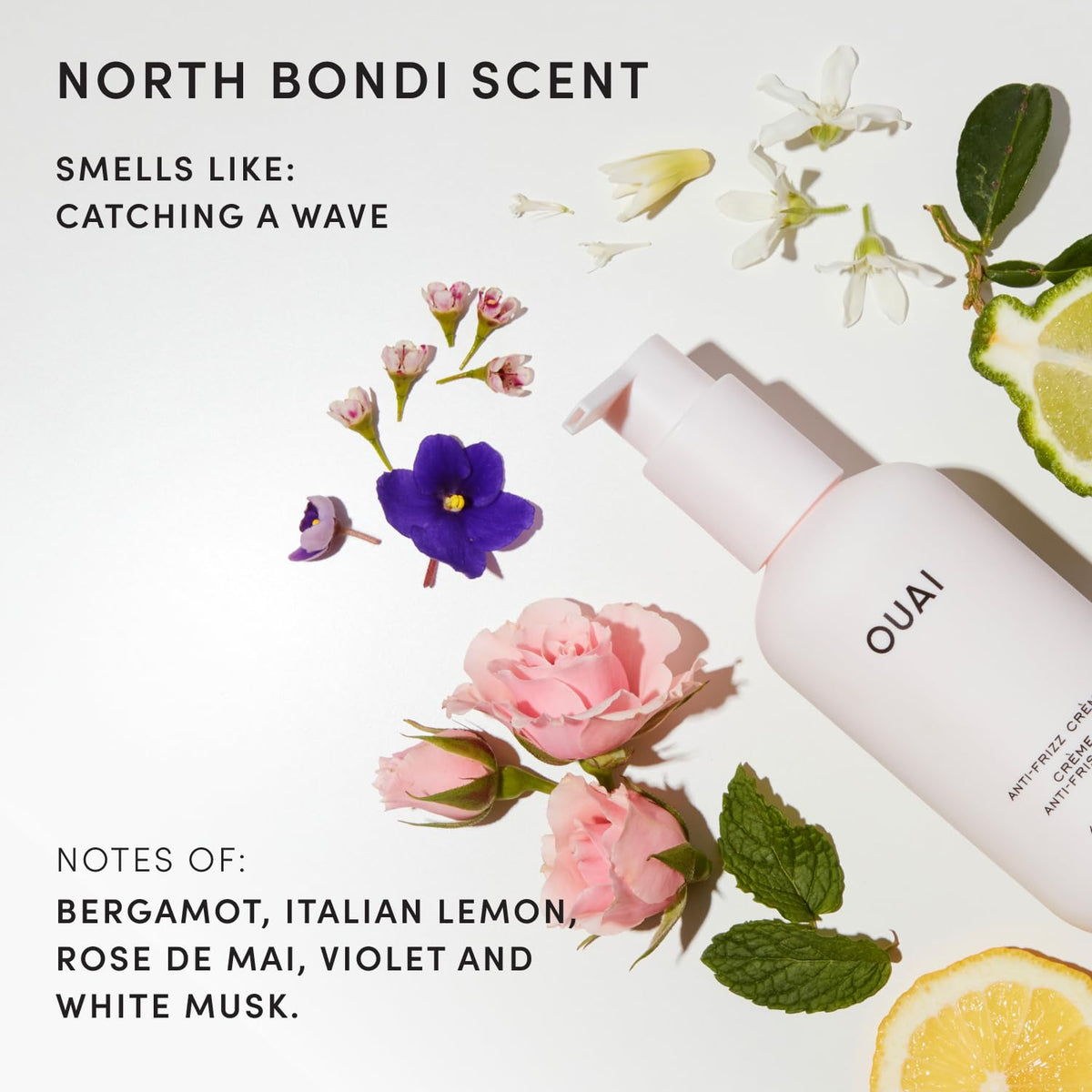 OUAI Anti Frizz Cream back view with details