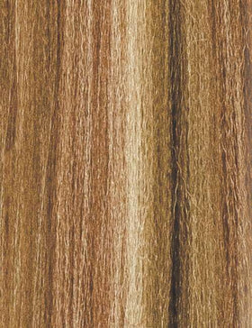 Outre X-Pression Braid 52-inch in natural light