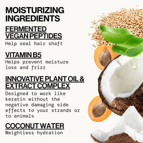 Pacifica Coco Peptide Damage Care Shampoo texture close-up