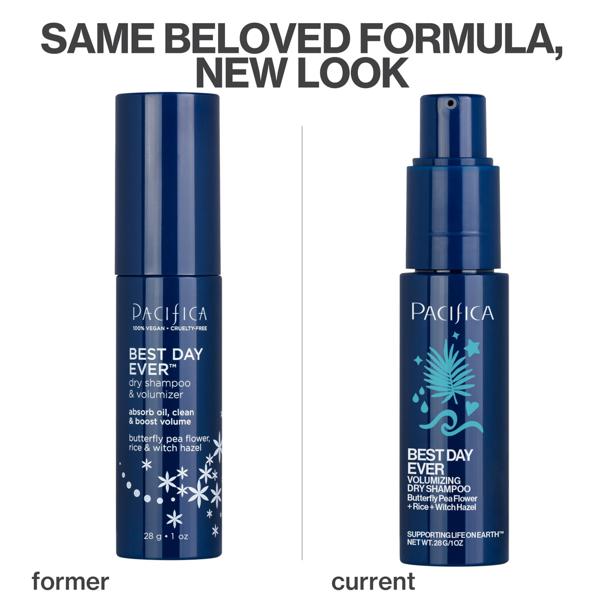 Pacifica Dry Shampoo Powder back view showing ingredients