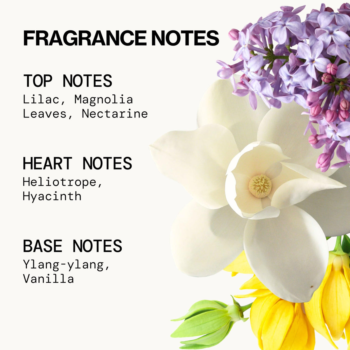 Pacifica French Lilac Hair & Body Mist with lilac flowers