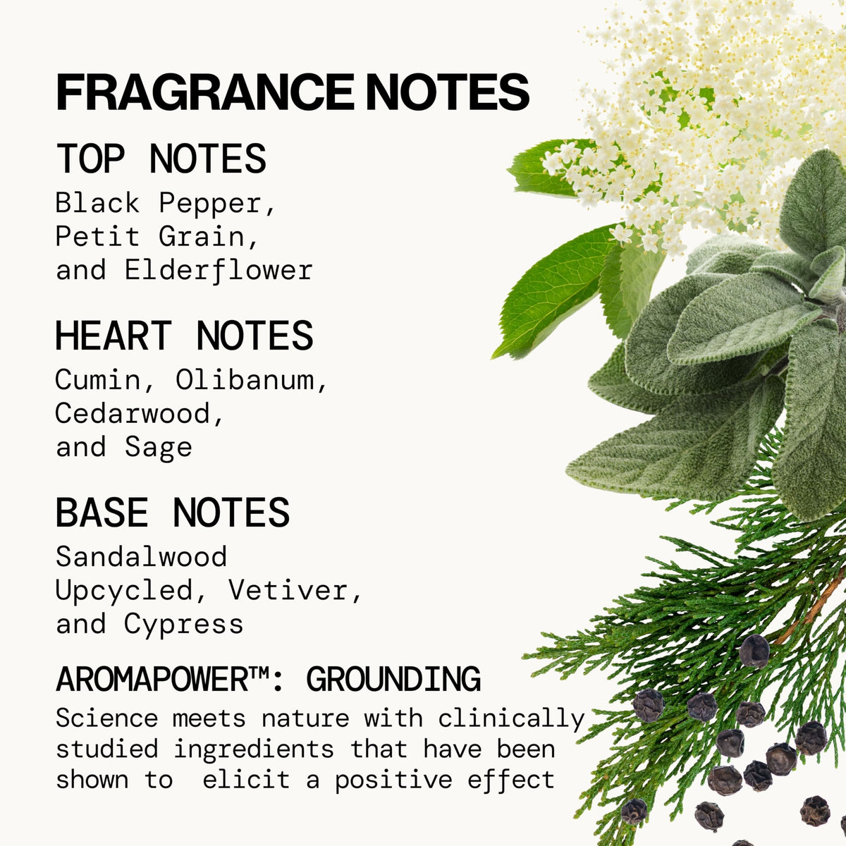 Pacifica Montana Sky Spray Perfume in a natural setting