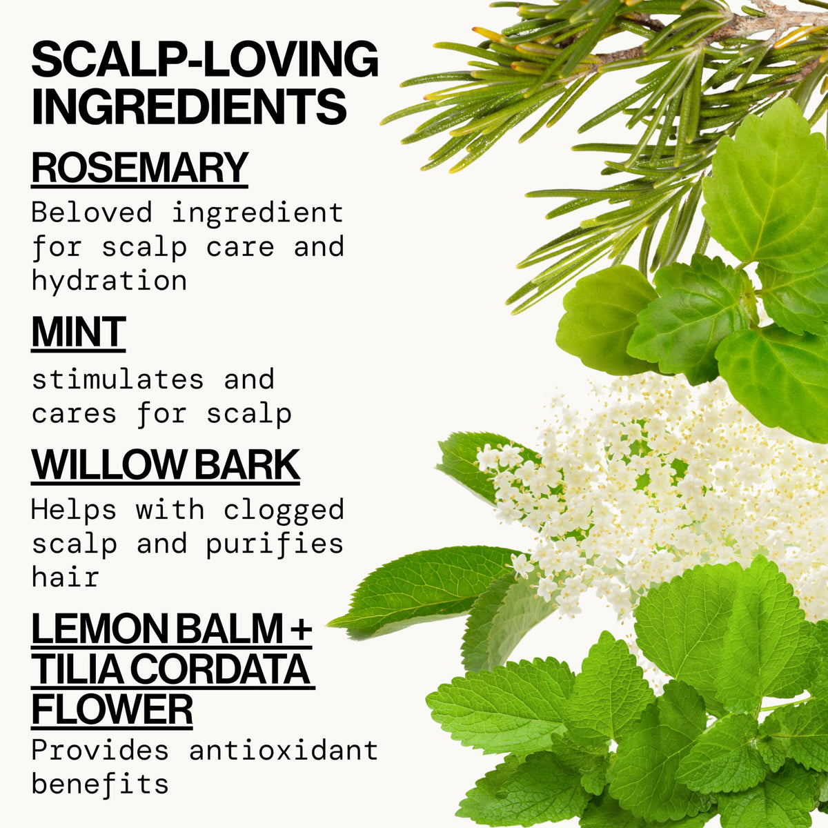 Pacifica Rosemary Mint Scalp Detox Shampoo in a bathroom setting
