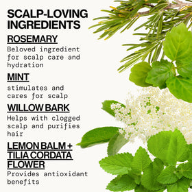 Pacifica Rosemary Mint Scalp Detox Shampoo in a bathroom setting
