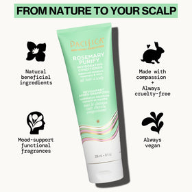Pacifica Rosemary Purify Conditioner back view