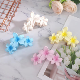 Packaging of ANBALA Flower Claw Clips